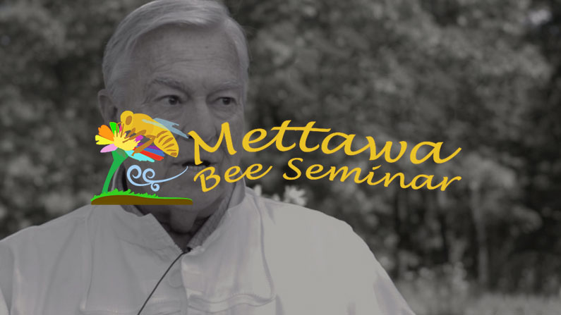 Mettawa Bee Seminar featured image