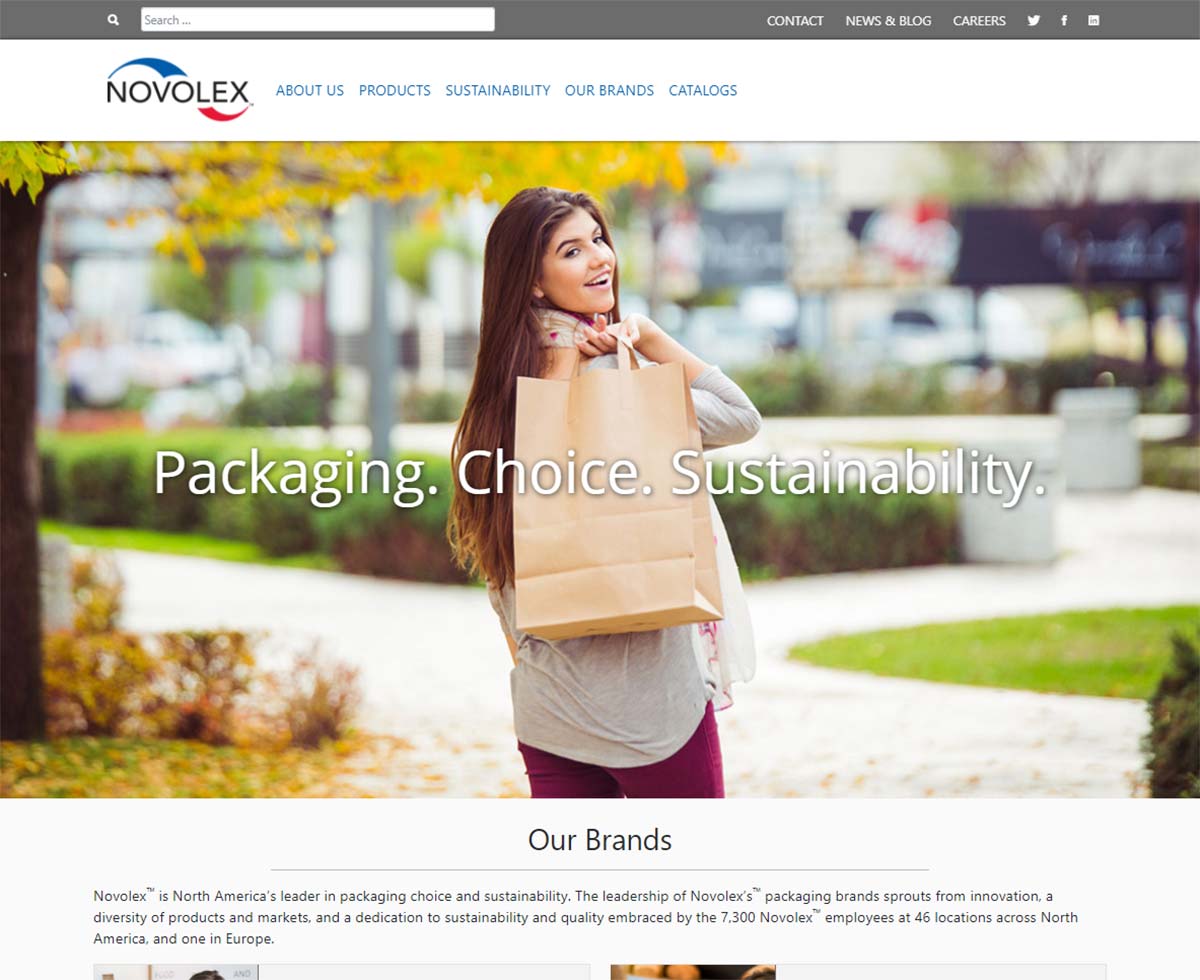 Novolex Web Design Project: eCommerce with CMS Displaying the homepage image of one of our web design projects: Novolex