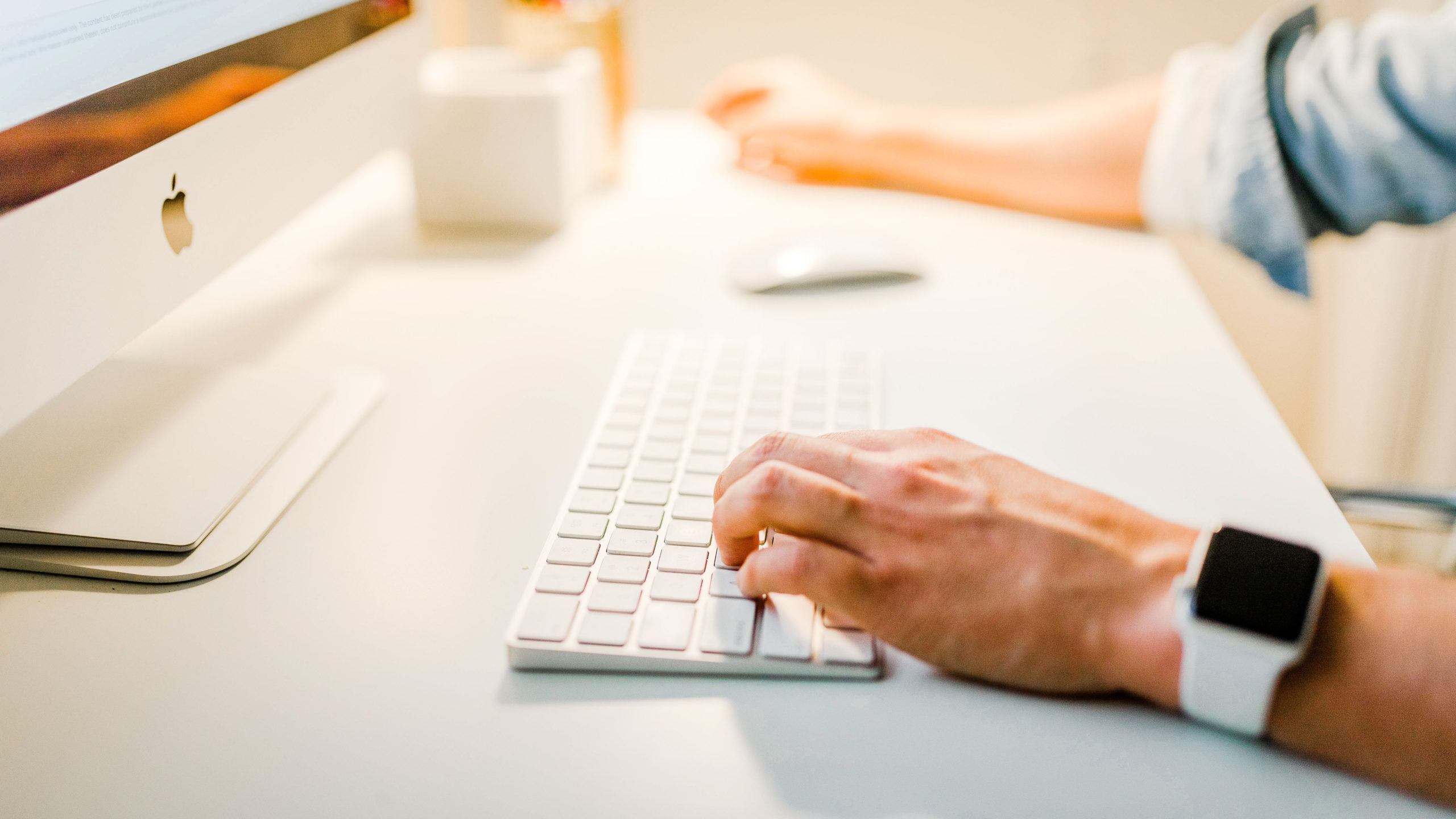 person typing looking at a monitor