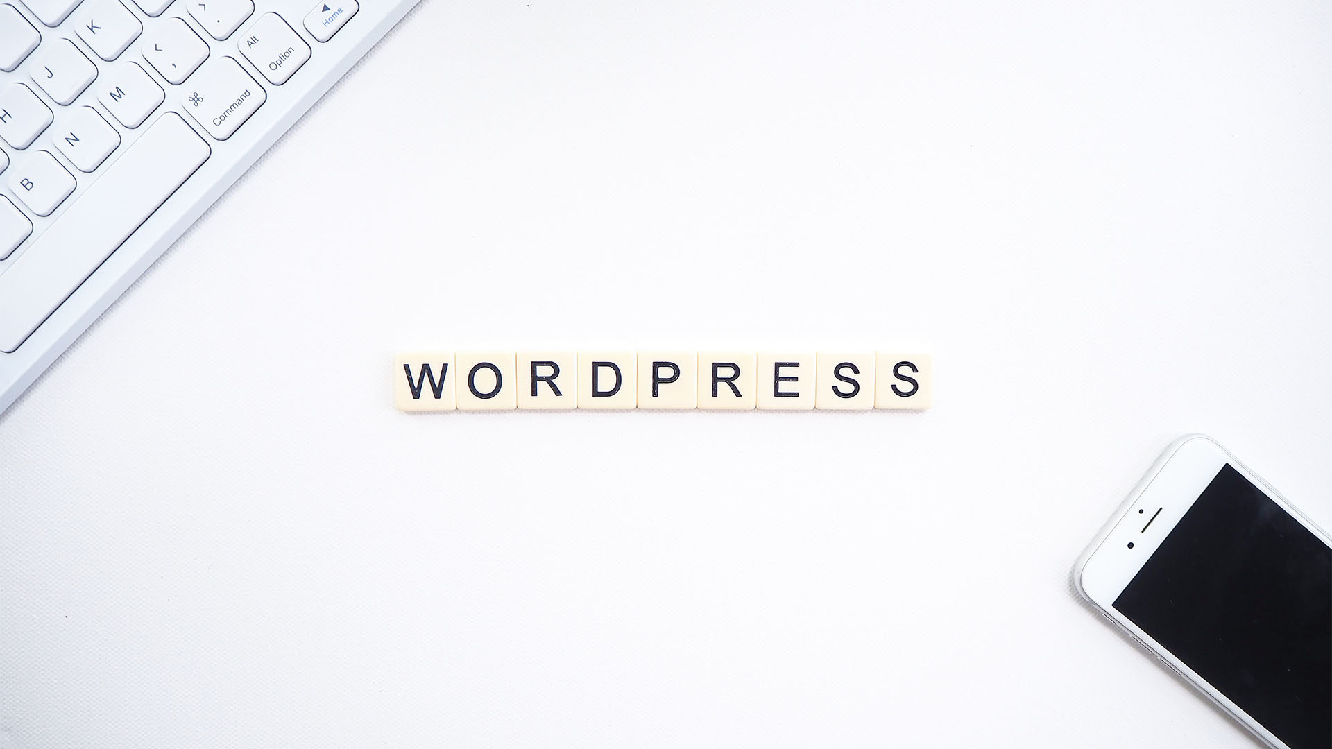 WordPress: Logging In, Navigating the Menu, and More Resources