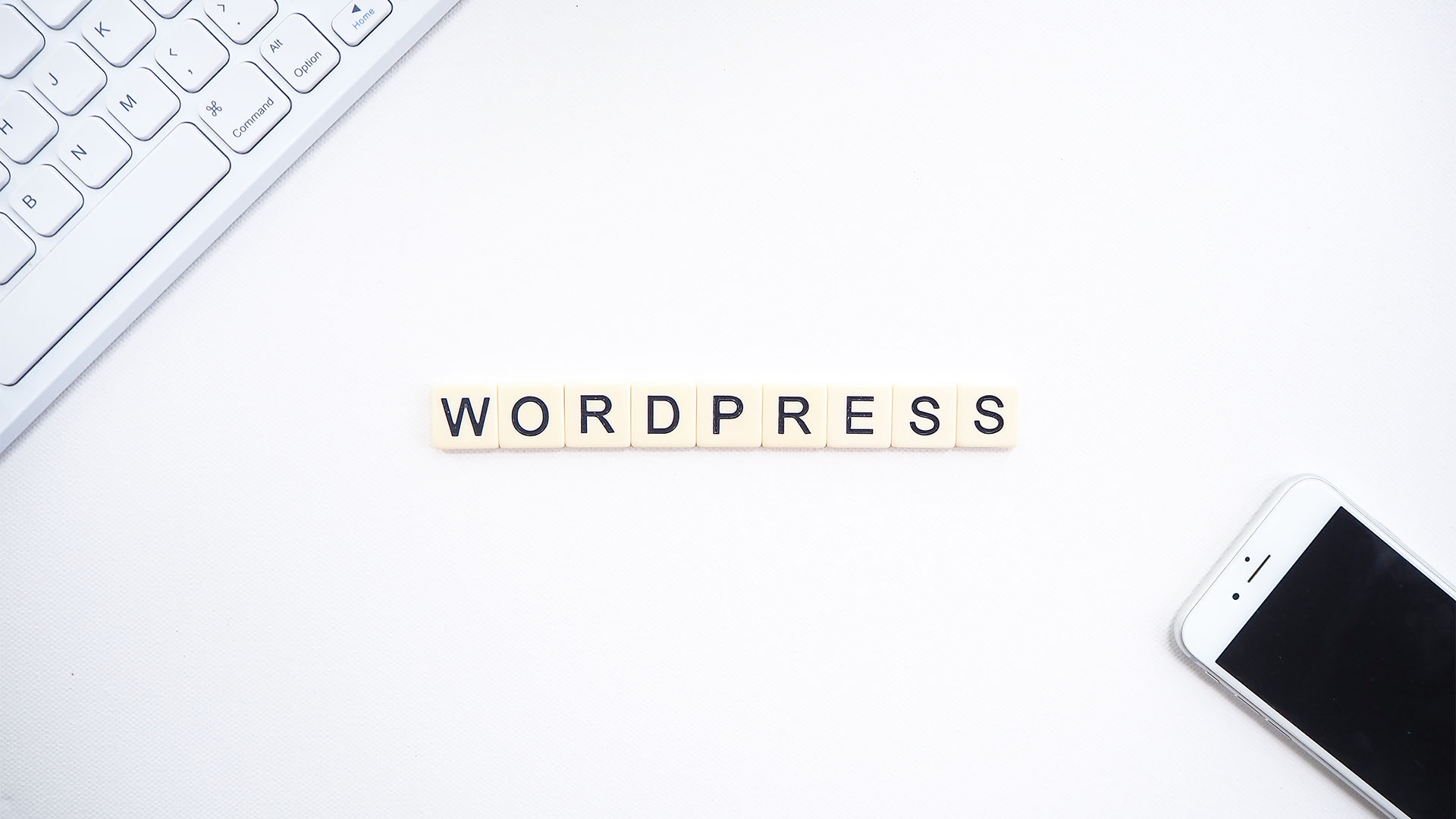 Introduction to WordPress