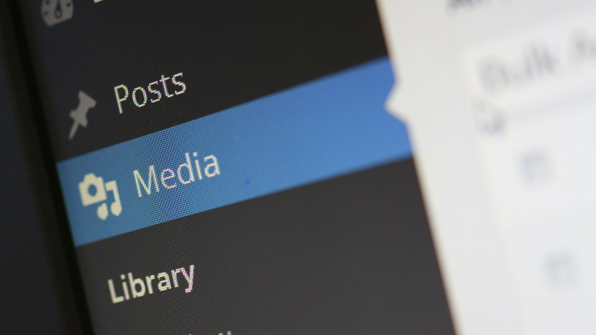 Add media and content on WordPress