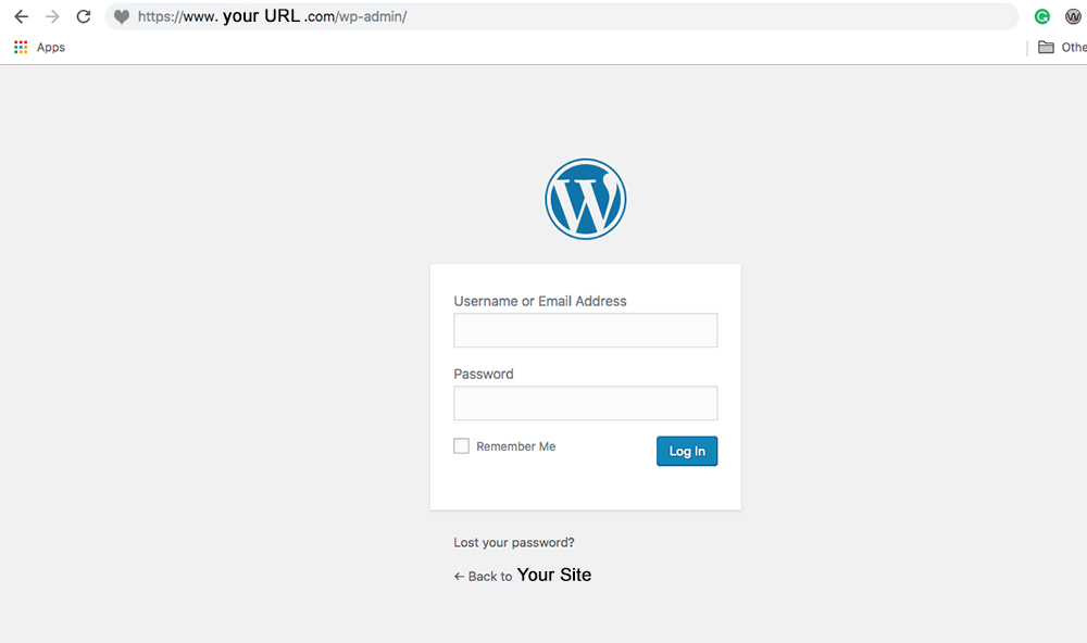 login page on WordPress and login URL